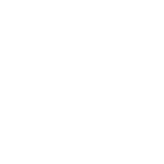 Branding & Diseño Web
